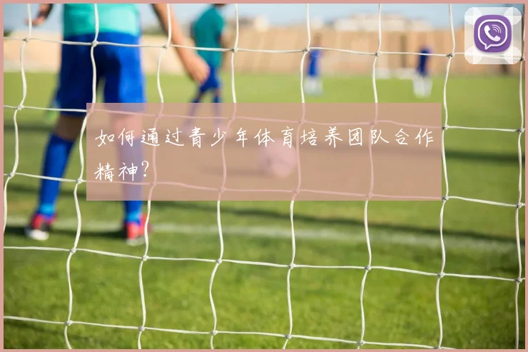 如何通过青少年体育培养团队合作精神?