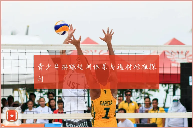 青少年排球培训体系与选材标准探讨