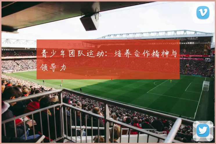 青少年团队运动：培养合作精神与领导力